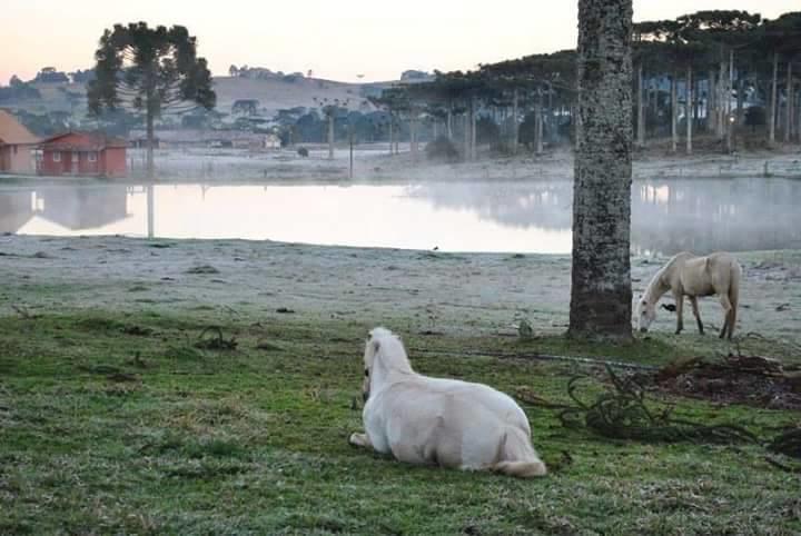 Refugio Do Lago Hotel Лажис Екстериор снимка